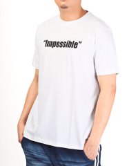 LUXSTYLE/Impossibleロゴプリント半袖Tシャツ/Tシャツ メンズ レディース 半袖 ロゴ プリント 英字 プリントTシャツ/505280130