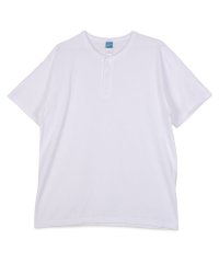 Good On/Good On グッドオン Tシャツ 半袖 メンズ 無地 ヘンリーネック S/S HENLEY NECK TEE ブラック ホワイト 黒 白 GOST 1102/505270478