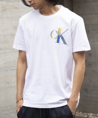Calvin Klein/【CALVIN KLEIN / カルバンクライン】ロゴ プリントT Tシャツ 半袖 40IC841 父の日 ギフト プレゼント 贈り物/505278123