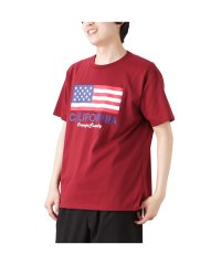 MAC HOUSE(men)/T－GRAPHICS ティーグラフィックス 星条旗プリント半袖Tシャツ F52008DM/505284762