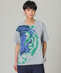 EVEX by KRIZIA/【接触冷感】【ウォッシャブル】グラフィカルビッグタイガープリントTシャツ/505280271