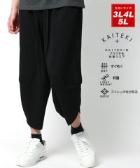 MARUKAWA/マルカワ MARUKAWA 大きいサイズ 3L 4L 5L 速乾 軽量 ストレッチ サルエルパンツ ワイドパンツ イージーパンツ ルームウェア/505275049