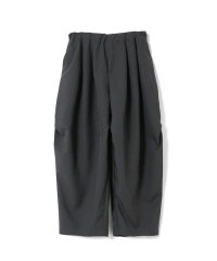 mizuiro ind/mizuiro ind ワイドカーゴパンツ/505184123