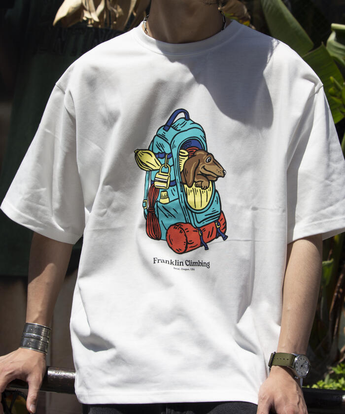 【ベルベットのような質感】D&GフロックプリントコットンTシャツ ベルベットのような質感】D&GフロックプリントコットンTシャツ