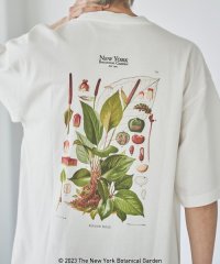 coen/NY　BotanicalGarden（ニューヨークボタニカルガーデン）プリントTシャツ/505346087