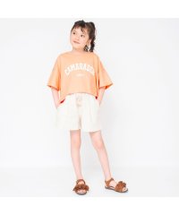 BRANSHES/【フローズンプリント】ロゴTシャツ/505321583