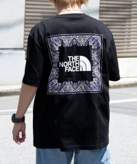 THE NORTH FACE/THE NORTH FACE ノースフェイス BANDANA Tシャツ カジュアル コットン トップス 半袖 Sサイズ/505349635