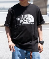 THE NORTH FACE/THE NORTH FACE ノースフェイス COTTON BIG LOGO EX Tシャツ カジュアル コットン トップス 半袖 Lサイズ/505349668