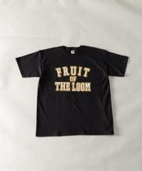 Nylaus/ナイラス Nylaus FRUIT OF THE LOOM UNISEX カレッジロゴプリント ショートスリーブTシャツ/505370550