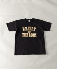 Nylaus/FRUIT OF THE LOOM UNISEX カレッジロゴプリント ショートスリーブTシャツ/505370550