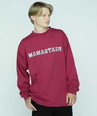 MANASTASH/MANASTASH/マナスタッシュ/CHILLIMESH L/S TEE ICE LOGO/505371544