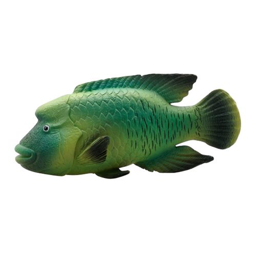 シネマコレクション cinemacollection 海洋生物 ナポレオン