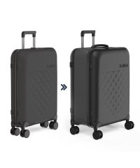 Rollink/ローリンク Rollink ローリンク スーツケース Lサイズ 80L 4輪タイプ 折りたたみ 拡張 薄マチ コンパクト スリム Rollink Flex 36/505376137