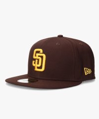 NEW ERA/ニューエラ NEW ERA NEW ERA ACPERF NATIONAL/505376380
