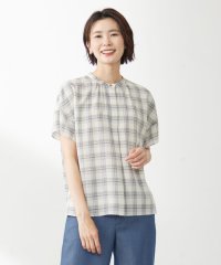 J.PRESS LADIES（LARGE SIZE）/シアーストライプチェック フレンチスリーブ バンドカラー カットソー/505384099