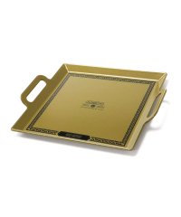 AS2OV/アッソブ プレート AS2OV ENAMEL IRON PLATE ホーロー フライパン 鉄板 錆びにくい 琺瑯 角型 IH対応 直火 クッカー 442200/505384506