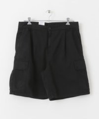 SENSE OF PLACE by URBAN RESEARCH/『WEB限定』CARHARTT　COLE CARGO SHORT/505399331