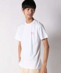 FRUIT OF THE LOOM/フルーツオブザルーム FRUIT OF THE LOOM 【FRUIT OF THE LOOM/フルーツ オブ ザ ルーム】プリントT/505392716