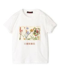 CABaN /CABaN スビンコットン パレルモフラワープリントTシャツ/504729964