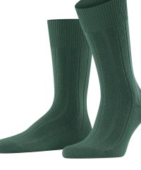 NOLLEY’S goodman/【FALKE/ファルケ】14423 LHASA RIB SOCKS/505412504