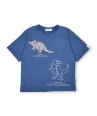 BeBe Petits Pois Vert/天竺 恐竜 プリント 刺繍 Tシャツ (95~150cm)/505421066