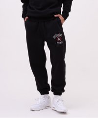 AVIREX/VARSITY LOGO SWEAT PANTS / バーシティ ロゴ スウェットパンツ / AVI/505424749