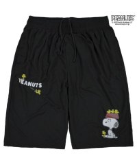  PEANUTS/ピーナッツ PEANUTS スヌーピー ハーフパンツ ハニカム メッシュ ウッドストック ジョークール スポーツ SNOOPY PEANUTS/505417362
