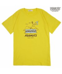  PEANUTS/バッグ スヌーピー  Tシャツ セット プレゼント ギフト レディース メンズ 春 夏 チャーリーブラウン プール 川 レジャー ハワイ ホワイト レモン イエ/505417149