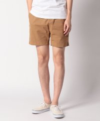 TOMMY HILFIGER/THEO 7in SHORT/505430391