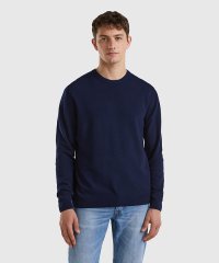 BENETTON (mens)/ピュアメリノウールクルーネックニットセーター/505450513