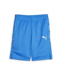 PUMA/キッズ ボーイズ ACTIVE SPORTS ポリ ショーツ 120－160cm/505470239