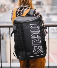 Dickies/Dickies OL LOGO BOX BACKPACK/505459956