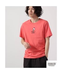  PEANUTS/ピーナッツ PEANUTS スヌーピー Tシャツ 半袖 ワンポイント 刺繍 SNOOPY PEANUTS/505480281