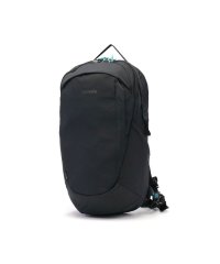 pacsafe/パックセーフ pacsafe パックセーフ リュック pacsafe ECO バックパック 25L リュックサック デイパック A4 大きめ RFID 通勤 通/505483704