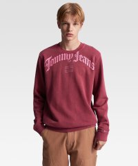 TOMMY JEANS/TJMリラックスグランジアーチクルーネックプルオーバー/505483152