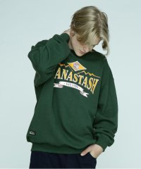 MANASTASH/MANASTASH/マナスタッシュ/CASCADE SWEATSHIRTS EST. 1993/505501202