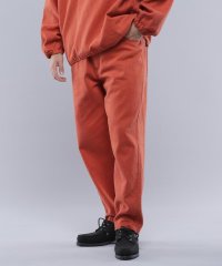 MANASTASH/MANASTASH/マナスタッシュ/CHILLWACK PANT/505505747