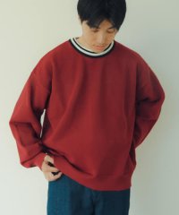 ITEMS URBANRESEARCH/衿ライン メッシュクルーネック プルオーバー/505507549