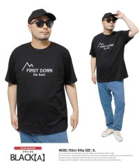 one colors/FIRST DOWN(ファーストダウン) 半袖 Tシャツ メンズ 大きいサイズ ロゴ プリント クルーネック カットソー プリントTシャツ 半袖Tシャツ おおき/505520627