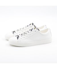 CONVERSE/コンバース CONVERSE メンズ スニーカー オールスター クップ AM OX ローカット レザー 本革  CO－ASCPAMOX/505571090