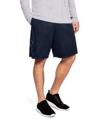 UNDER ARMOUR/UA TECH GRAPHIC SHORT/505577302