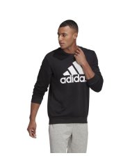 adidas/エッセンシャルズ ビッグロゴ スウェットシャツ / M ESSENTIALS BIG LOGO SWEATSHIRT/505578593