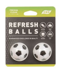 SPORTS AUTHORITY/REFRESHBALLS/505580090