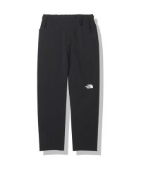 THE NORTH FACE/Verb Light Mt Pant (バーブライトマウンテンパンツ)/505582670