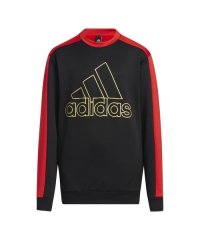 Adidas/YB カラーブロック クルースウェット/505584818