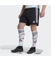 Adidas/アディダス サッカー日本代表 2022 アウェイ レプリカ ショーツ/505585029