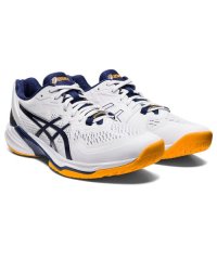 ASICS/SKY ELITE FF 2/505585671