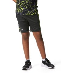 UNDER ARMOUR/UA BASEBALL MESH SHORTS/505590141