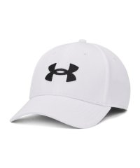 UNDER ARMOUR/UA MENS BLITZING/505590364