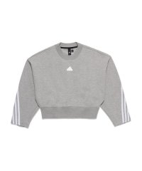 Adidas/W FI 3S CREW/505591213